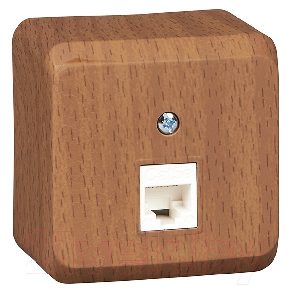 Накладная розетка компьютерная RJ45 кат.5E SE Этюд бук