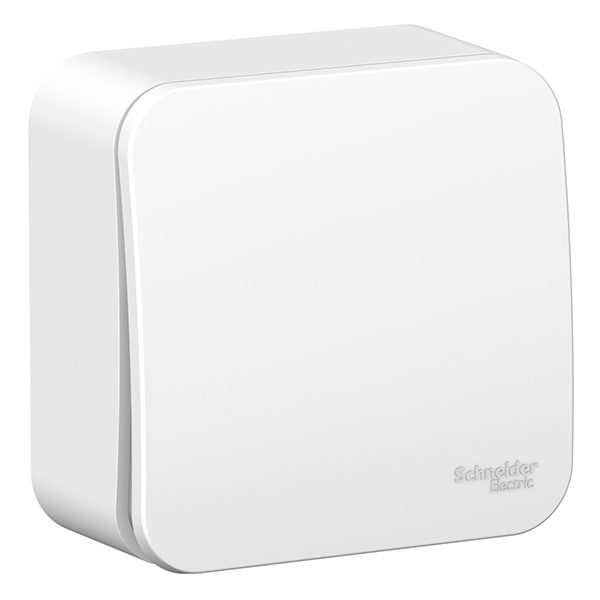 Накладной выключатель 1-клавишный SE Blanca 10А 250В белый