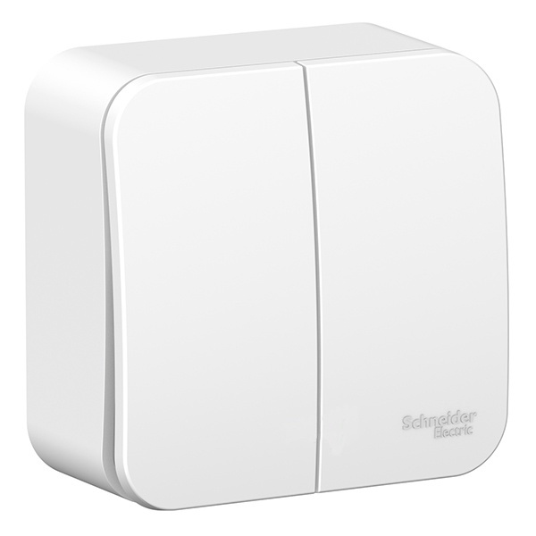 Накладной выключатель 2-клавишный SE Blanca 6А 250В белый монтажная пластина