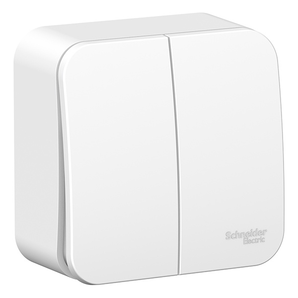 Накладной выключатель 2-клавишный SE Blanca 6А 250В белый изол.пластина