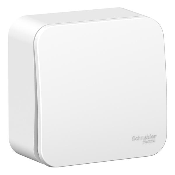 Накладной выключатель 1-клавишный SE Blanca 10А 250В белый изол.пластина