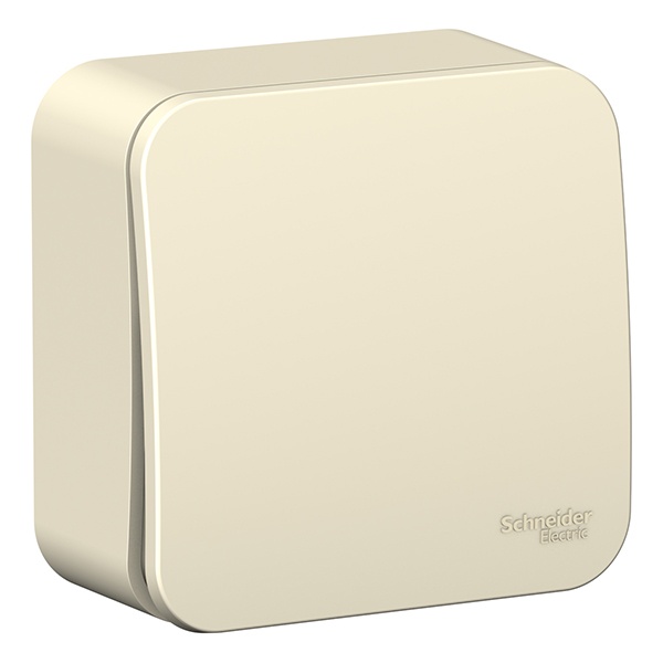 Накладной выключатель 1-клавишный SE Blanca 6А 250В молочный