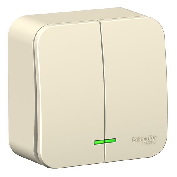 Накладной выключатель 2-клавишный с подсветкой SE Blanca 6А 250В молочный