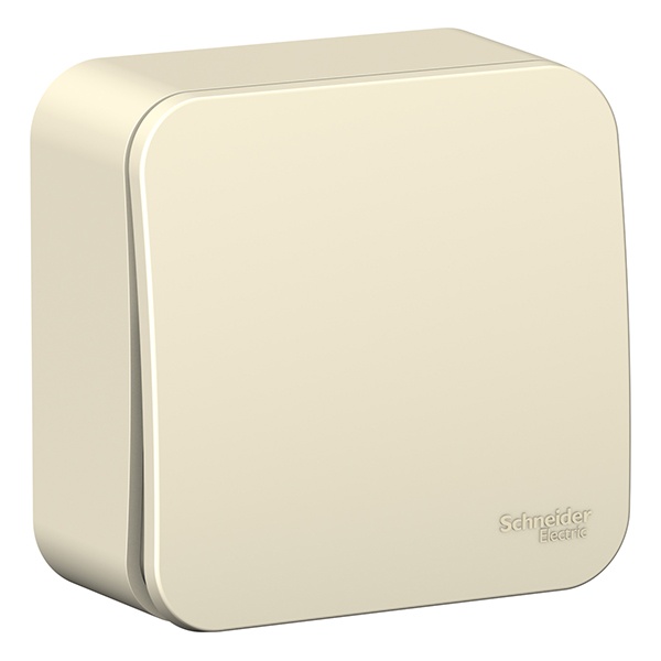 Накладной выключатель 1-клавишный SE Blanca 10А 250В молочный