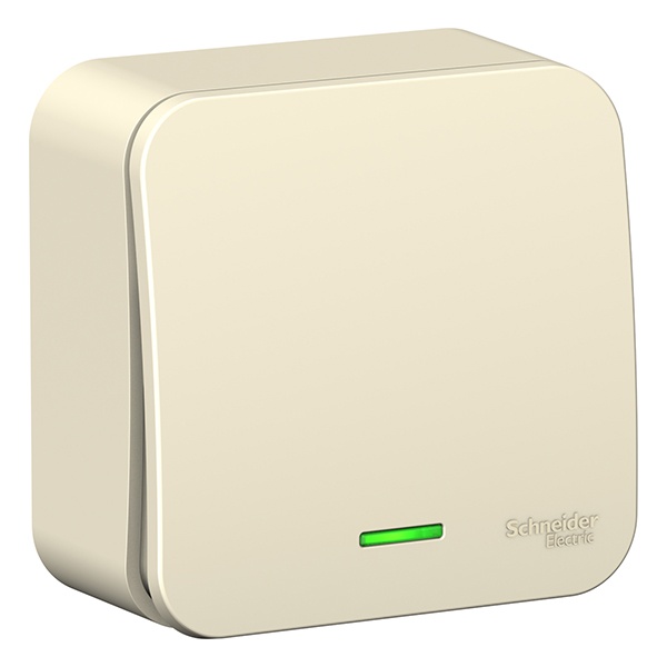 Накладной выключатель 1-клавишный с подсветкой SE Blanca 10А 250В молочный