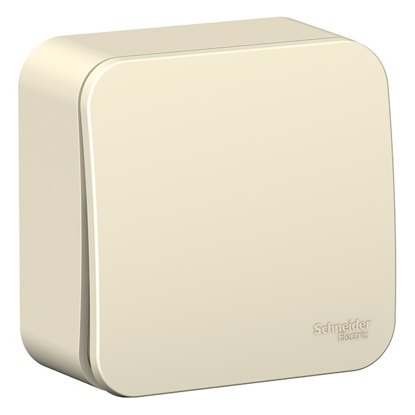 Накладной кнопочный выключатель с самовозвратом SE Blanca 10А молочный изол.пластина