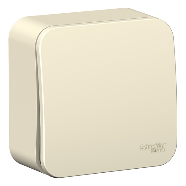 Накладной выключатель 1-клавишный SE Blanca 6А 250В молочный изол.пластина