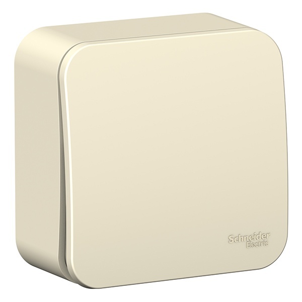 Накладной выключатель 1-клавишный SE Blanca 10А 250В молочный изол.пластина