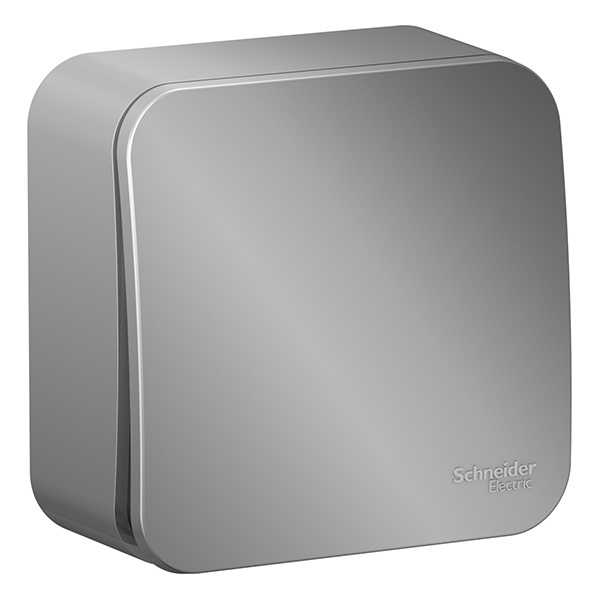 Накладной выключатель 1-клавишный SE Blanca 10А 250В алюминий