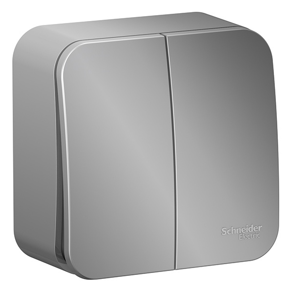 Накладной выключатель 2-клавишный SE Blanca 10А 250В алюминий