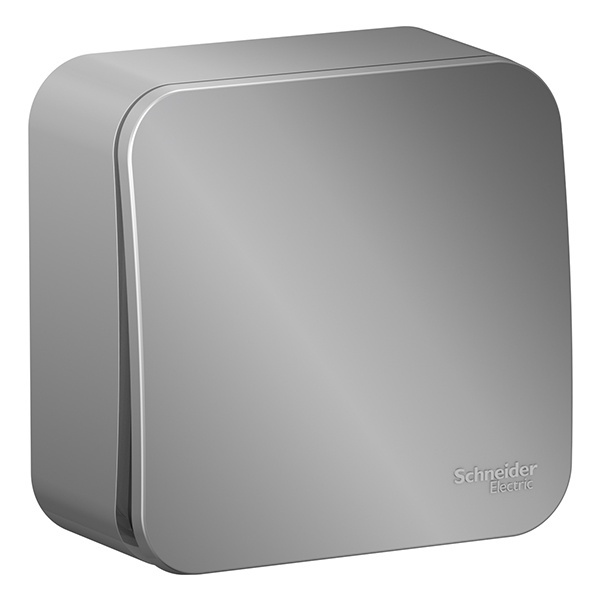 Накладной кнопочный выключатель с самовозвратом SE Blanca 10А алюминий изол.пластина