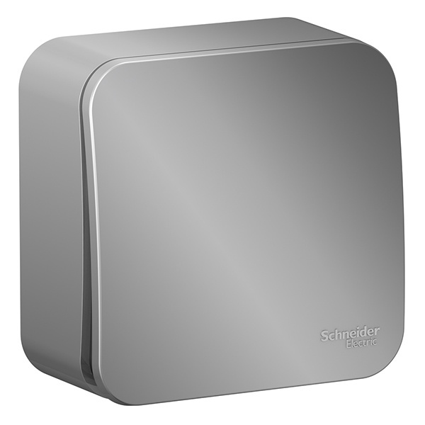 Накладной выключатель 1-клавишный SE Blanca 10А 250В алюминий изол.пластина