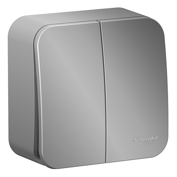 Накладной выключатель 2-клавишный SE Blanca 10А 250В алюминий изол.пластина