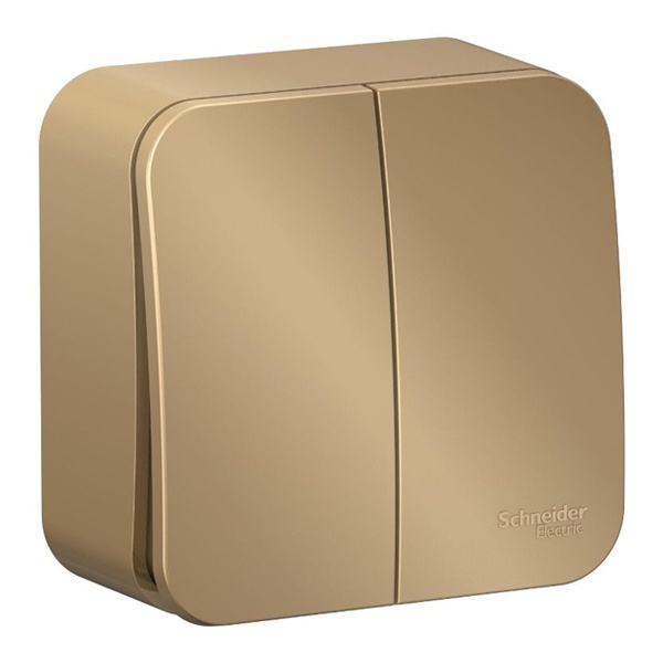 Накладной выключатель 2-клавишный SE Blanca 10А 250В титан