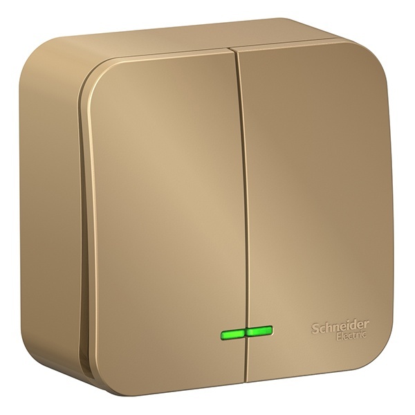 Накладной выключатель 2-клавишный с подсветкой SE Blanca 10А 250В титан