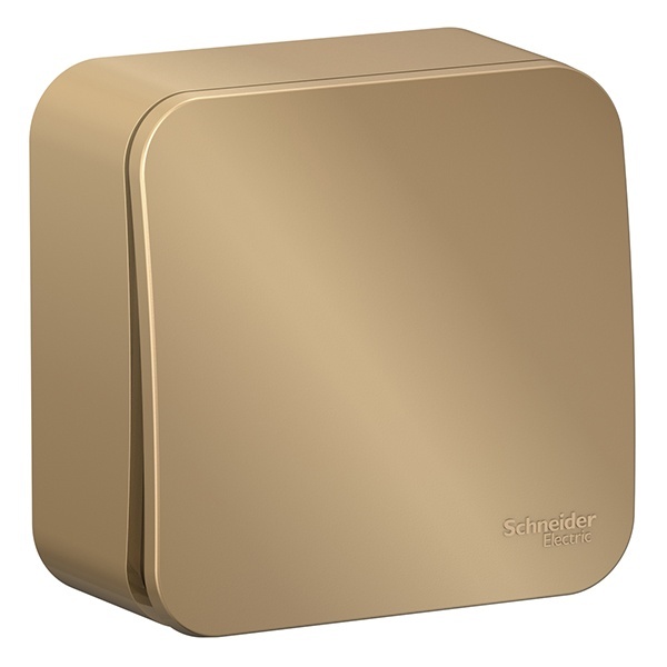 Накладной кнопочный выключатель с самовозвратом SE Blanca 10А титан изол.пластина