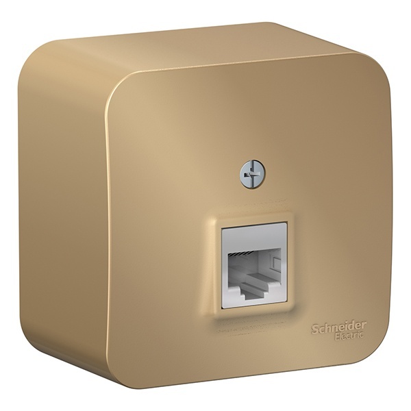 Накладная розетка компьютерная RJ45 кат.5E SE Blanca титан изол.пластина