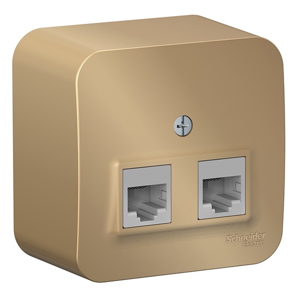 Накладная розетка 2-ая компьютерная RJ45 кат.5E SE Blanca титан изол.пластина