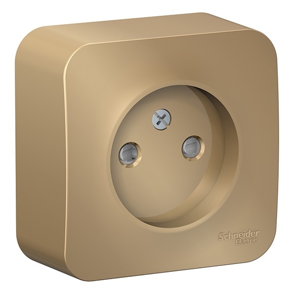 Накладная розетка без заземления со шторками SE Blanca 16А 250В титан изол.пластина