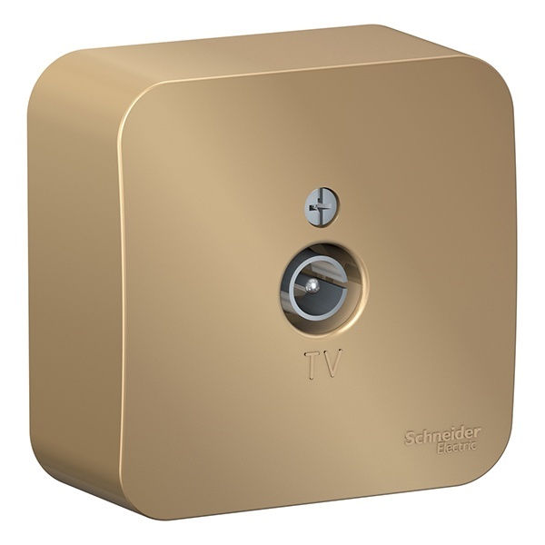 Накладная розетка ТВ SE Blanca титан изол.пластина