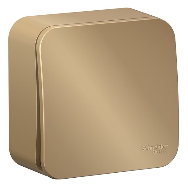 Накладной выключатель 1-клавишный SE Blanca 10А 250В титан изол.пластина