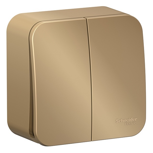 Накладной выключатель 2-клавишный SE Blanca 10А 250В титан изол.пластина