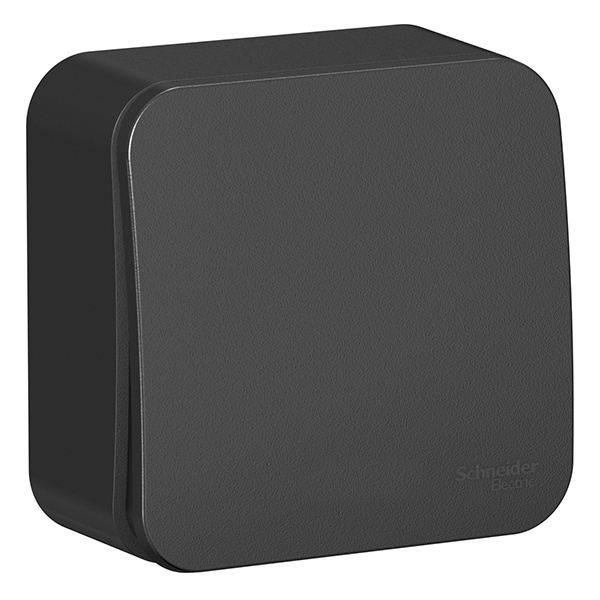 Накладной выключатель 1-клавишный SE Blanca 10А 250В антрацит