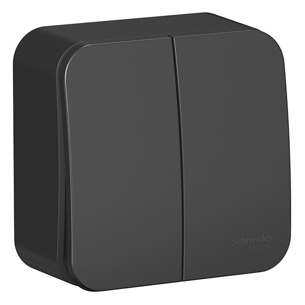 Накладной выключатель 2-клавишный SE Blanca 10А 250В антрацит