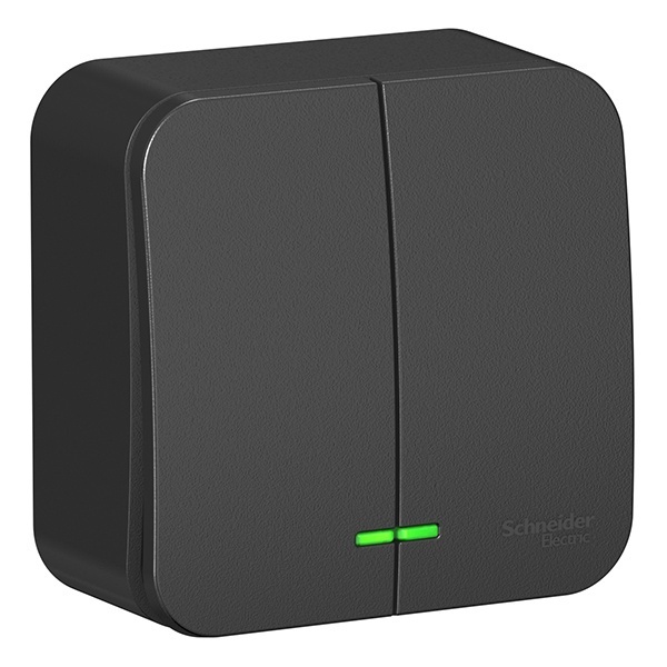 Накладной выключатель 2-клавишный с подсветкой SE Blanca 10А 250В антрацит