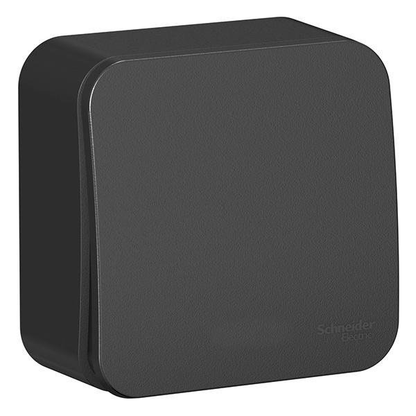 Накладной кнопочный выключатель с самовозвратом SE Blanca 10А антрацит изол.пластина