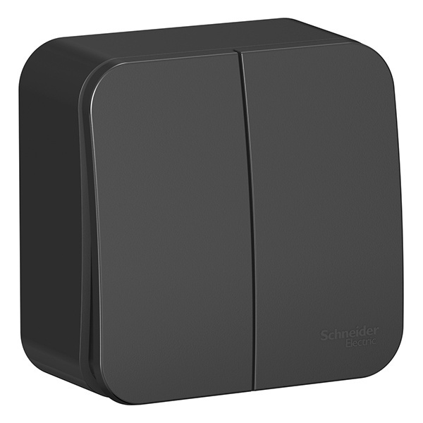 Накладной выключатель 2-клавишный SE Blanca 10А 250В антрацит изол.пластина