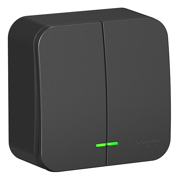 Накладной выключатель 2-клавишный с подсветкой SE Blanca 10А 250В антрацит из.пластина