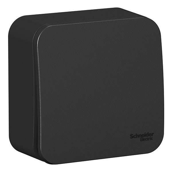 Накладной переключатель 1-клавишный SE Blanca 10А 250В антрацит изол.пластина