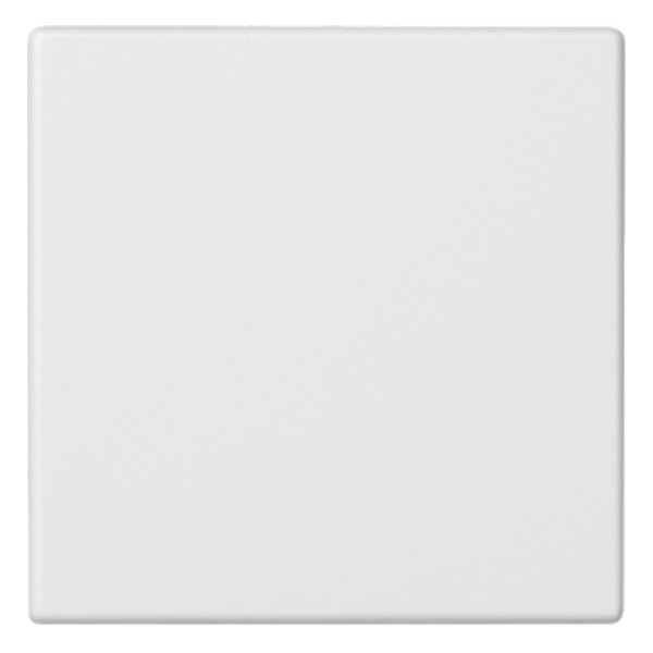 Заглушка 45х45мм Simon K45, белый