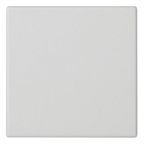 Клавиша Simon K301 45х45мм для выключателя, белый