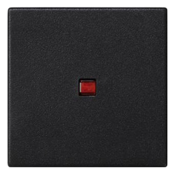 Клавиша Simon K302 45х45мм для выключателя с подсветкой, графит