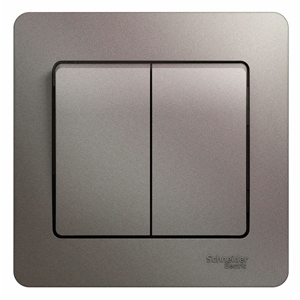 Двухклавишный выключатель SE Glossa 10A в сборе, платина