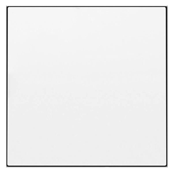 Заглушка с суппортом ABB Sky, альпийский белый (8500 BL)