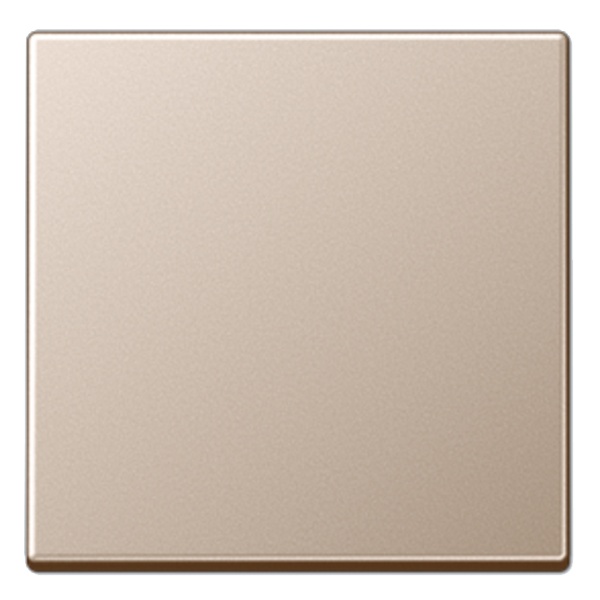 Стандартная центральная плата Jung A Шампань