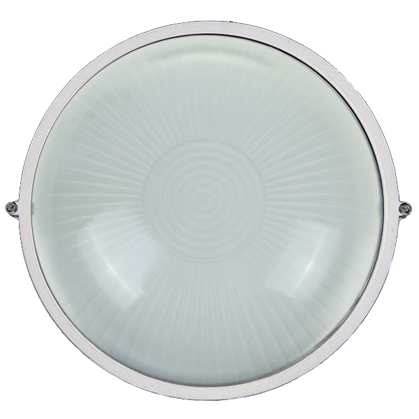 Светильник TDM НПБ1101 белый/круг 100Вт IP54