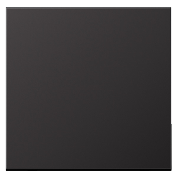 Клавиша Jung LS для одноклавишного выключателя Dark