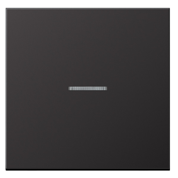 Клавиша Jung LS для одноклавишного выключателя с подсветкой Dark