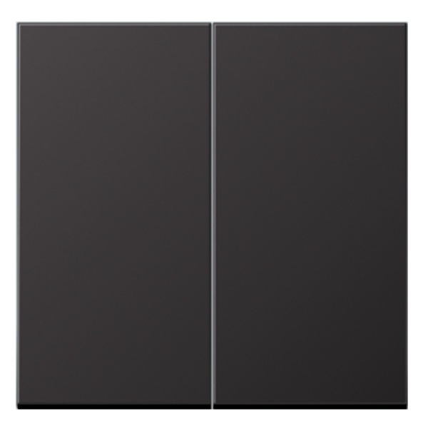 Клавиша Jung LS для двухклавишного выключателя Dark