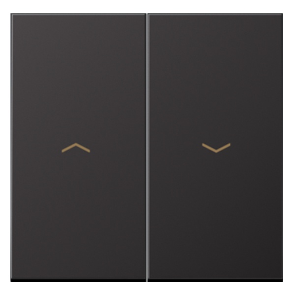 Клавиши для выключателя Jung LS управления жалюзи Dark