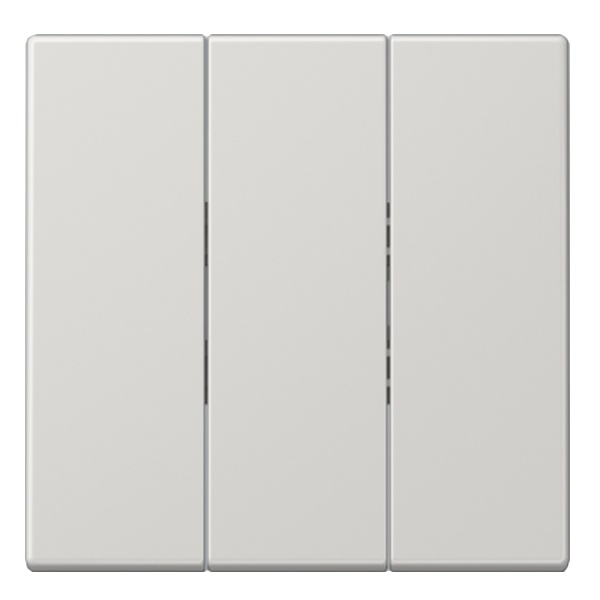 Клавиша Jung LS для трехклавишного выключателя Светло-серый