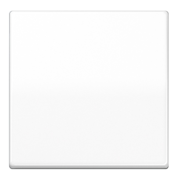 Центральная плата Jung AS стандартная для LB вставки Белая