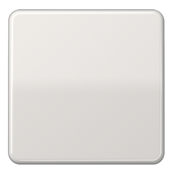 Центральная плата Jung CD стандартная Светло-серый