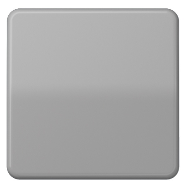 Центральная плата Jung CD стандартная Серый