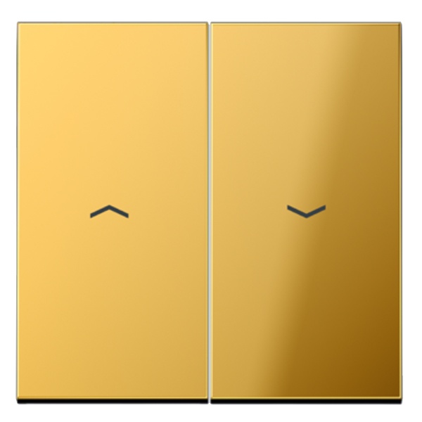 Клавиша 2-ая Jung LS для жалюзийного выключателя/кнопок Имитация золота