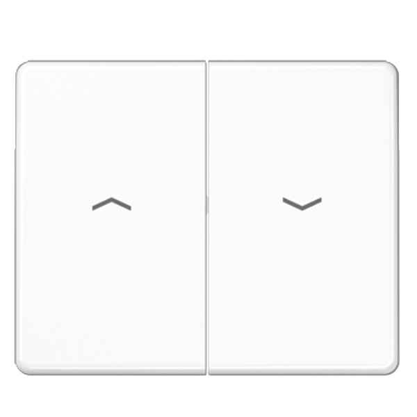 Клавиша 2-ая Jung LS для жалюзийного выключателя/кнопок Белый